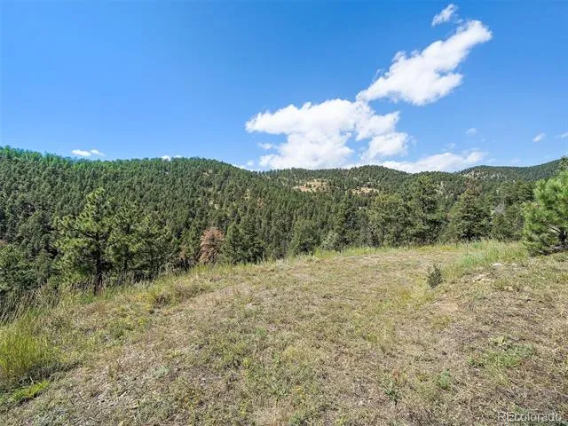 13809 Elsie Road Conifer, CO 80433