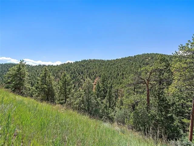 13809 Elsie Road Conifer, CO 80433