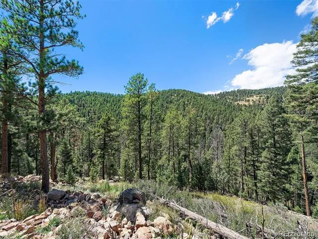 13809 Elsie Road Conifer, CO 80433