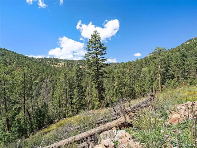 13809 Elsie Road Conifer, CO 80433