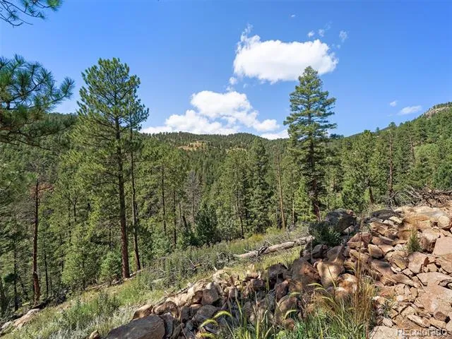 13809 Elsie Road Conifer, CO 80433