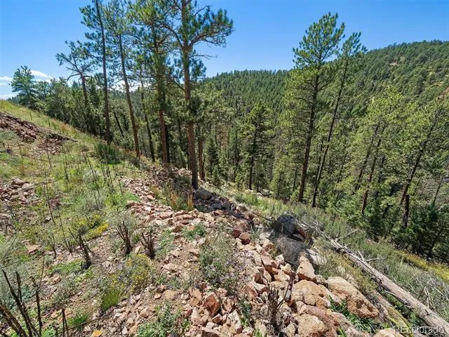 13809 Elsie Road Conifer, CO 80433
