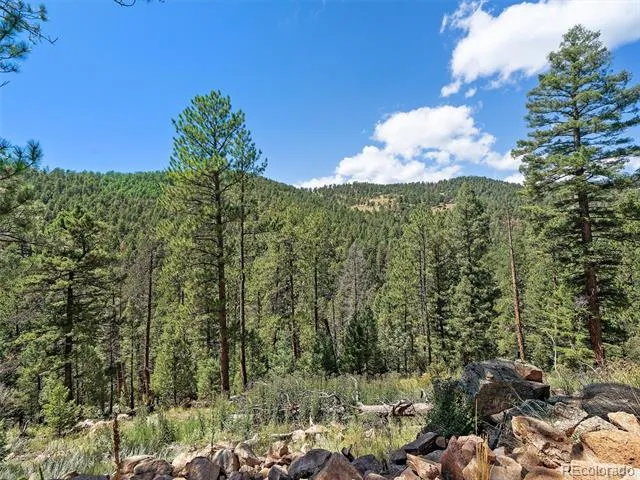 13809 Elsie Road Conifer, CO 80433
