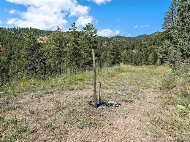 13809 Elsie Road Conifer, CO 80433