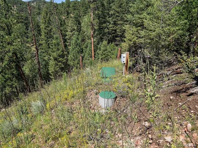 13809 Elsie Road Conifer, CO 80433