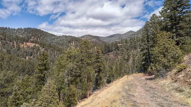 13809 Elsie Road Conifer, CO 80433