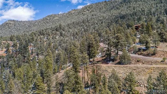13809 Elsie Road Conifer, CO 80433