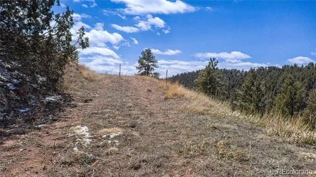13809 Elsie Road Conifer, CO 80433