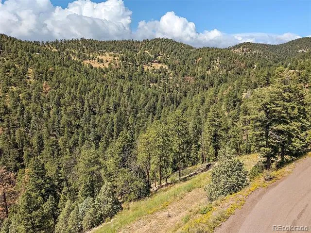 13809 Elsie Road Conifer, CO 80433