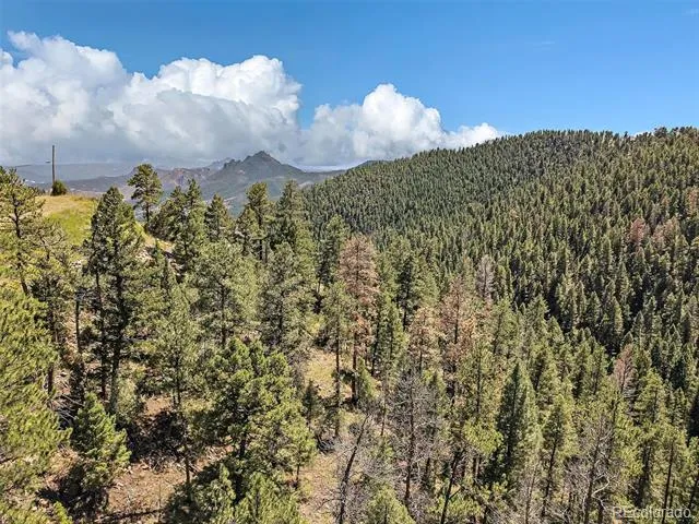 13809 Elsie Road Conifer, CO 80433