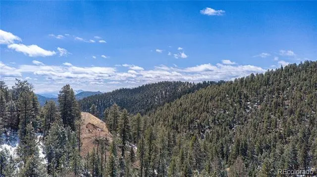 13809 Elsie Road Conifer, CO 80433