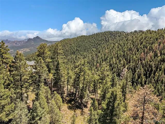 13809 Elsie Road Conifer, CO 80433