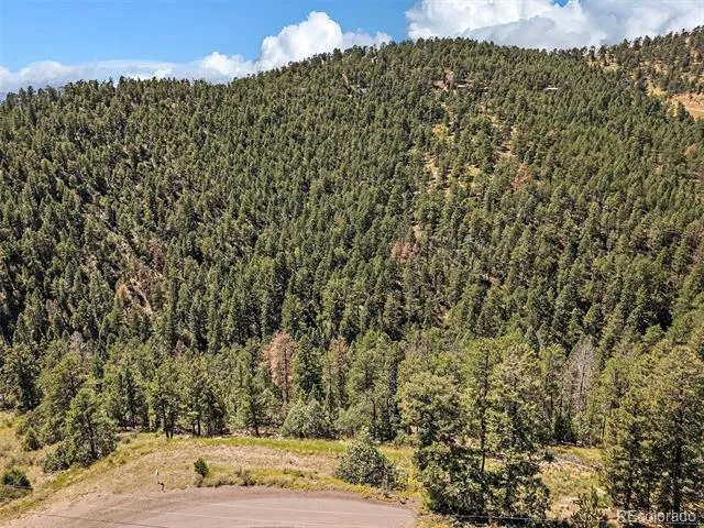 13809 Elsie Road Conifer, CO 80433