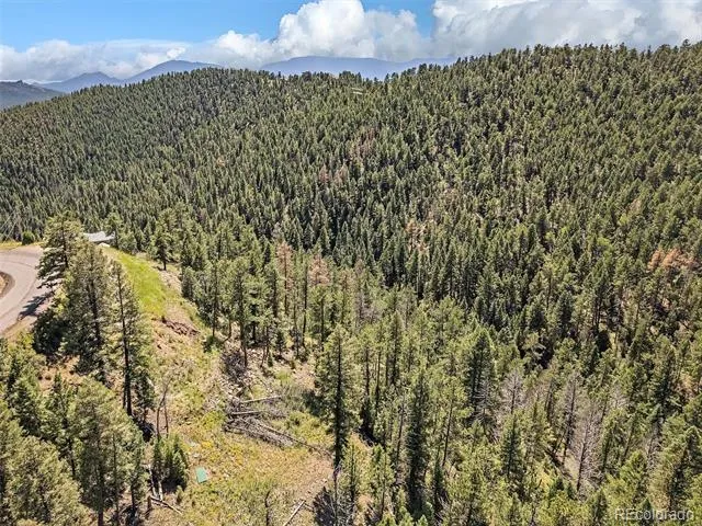 13809 Elsie Road Conifer, CO 80433
