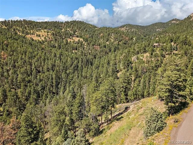 13809 Elsie Road Conifer, CO 80433
