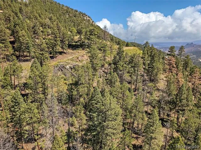 13809 Elsie Road Conifer, CO 80433