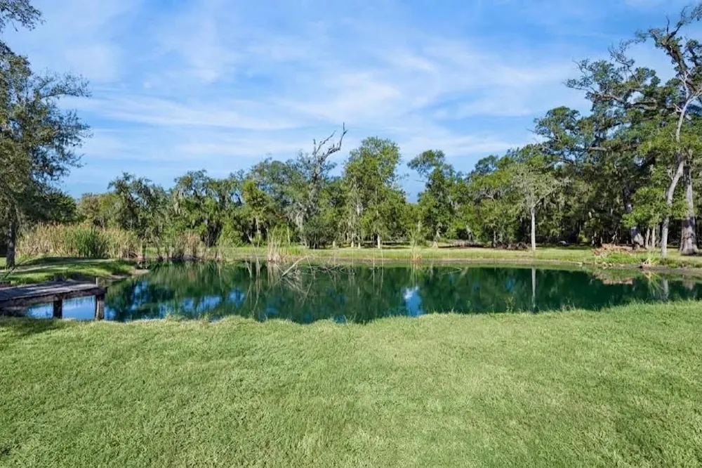 17502 Hamill Drive Rosharon, TX 77583