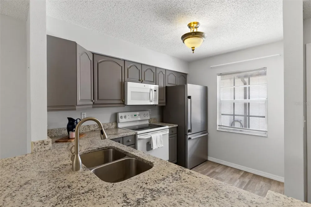 3137 MISSION GROVE DRIVE Palm Harbor, FL 34684