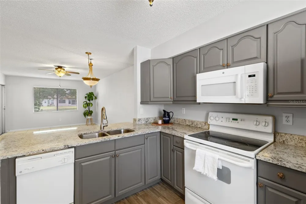 3137 MISSION GROVE DRIVE Palm Harbor, FL 34684