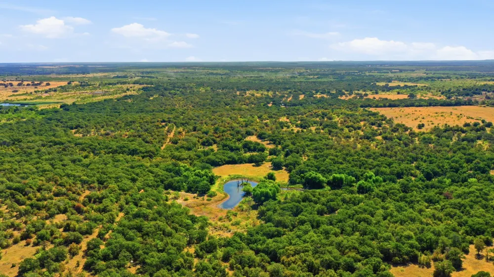 1140 Garvey Ranch Road Graham, TX 76450