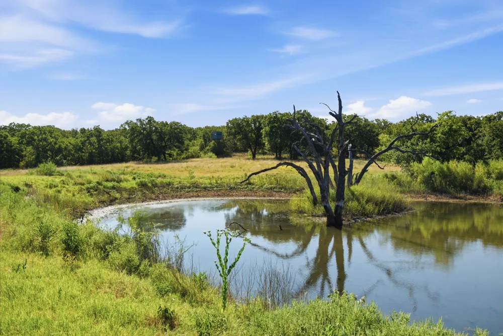 1140 Garvey Ranch Road Graham, TX 76450