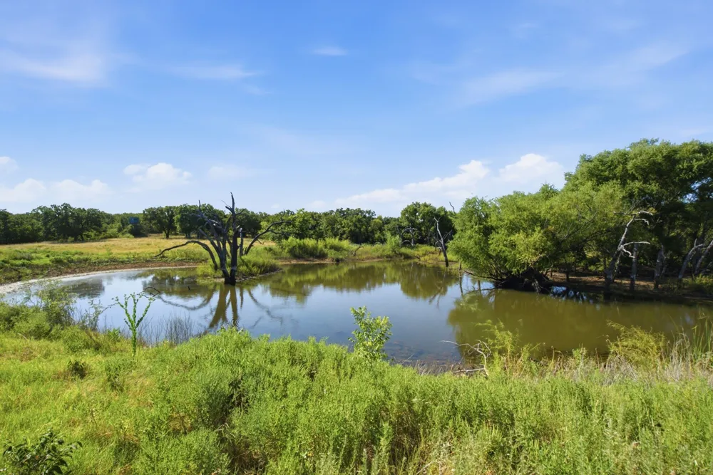 1140 Garvey Ranch Road Graham, TX 76450