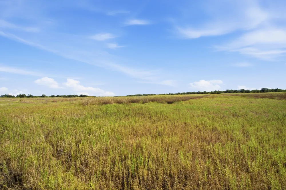 1140 Garvey Ranch Road Graham, TX 76450