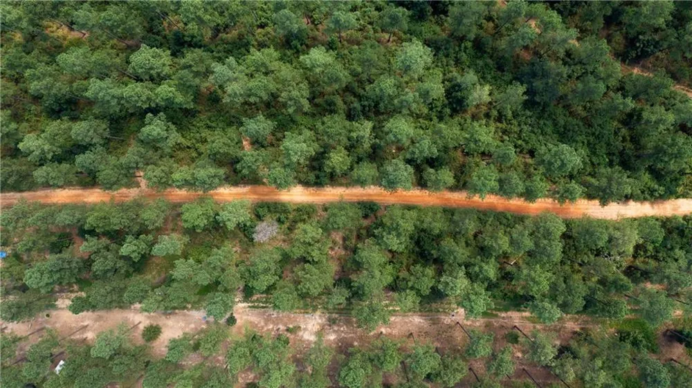 3390 Pleasant Valley Road SE Rome, GA 30161