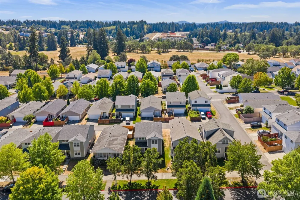8419 15th Avenue SE Olympia, WA 98513