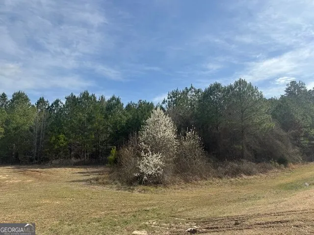 39 Brush Creek Park RD Franklin, GA 30217