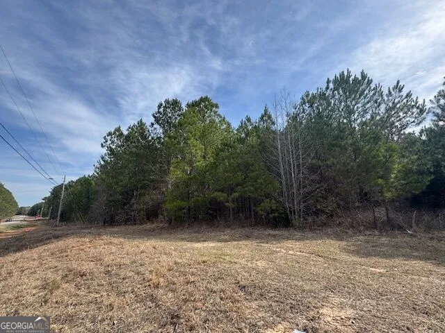 39 Brush Creek Park RD Franklin, GA 30217