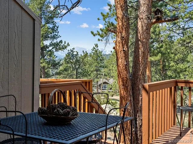 321 Big Horn Drive #2 Estes Park, CO 80517