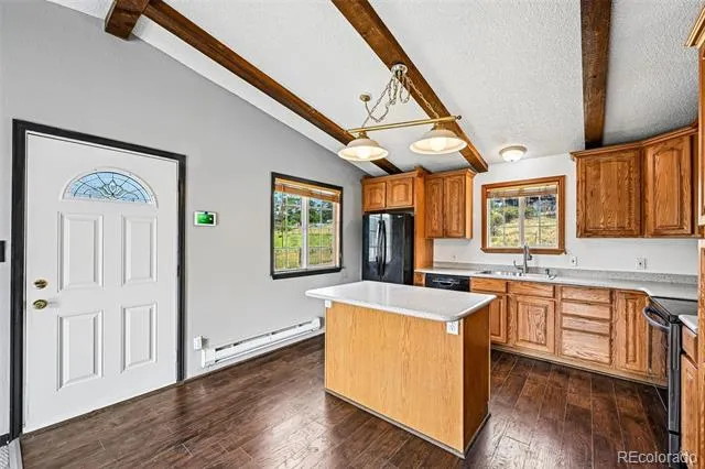 461 Yellow Pine Drive Bailey, CO 80421