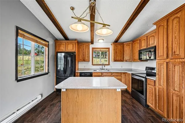 461 Yellow Pine Drive Bailey, CO 80421