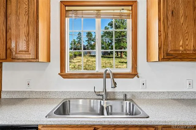 461 Yellow Pine Drive Bailey, CO 80421