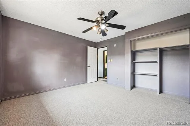 461 Yellow Pine Drive Bailey, CO 80421