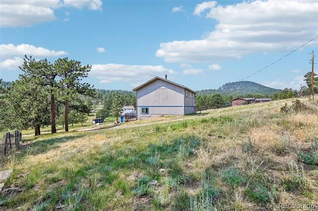 461 Yellow Pine Drive Bailey, CO 80421