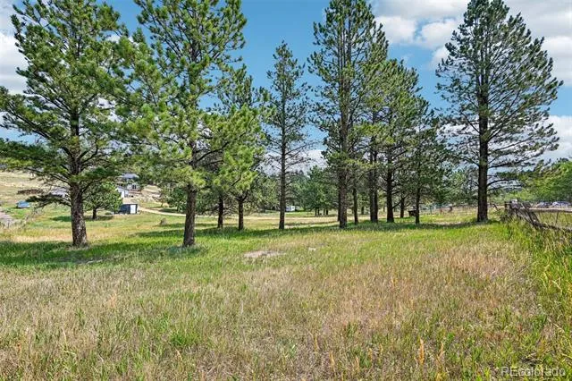 461 Yellow Pine Drive Bailey, CO 80421