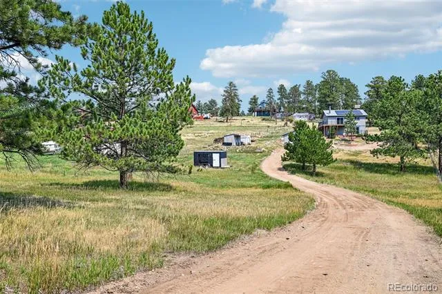 461 Yellow Pine Drive Bailey, CO 80421