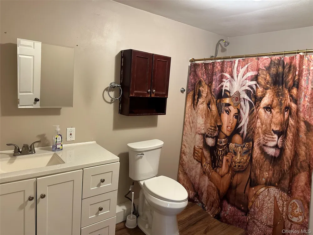 19 & 25 Finch Street Livingston Manor, NY 12758