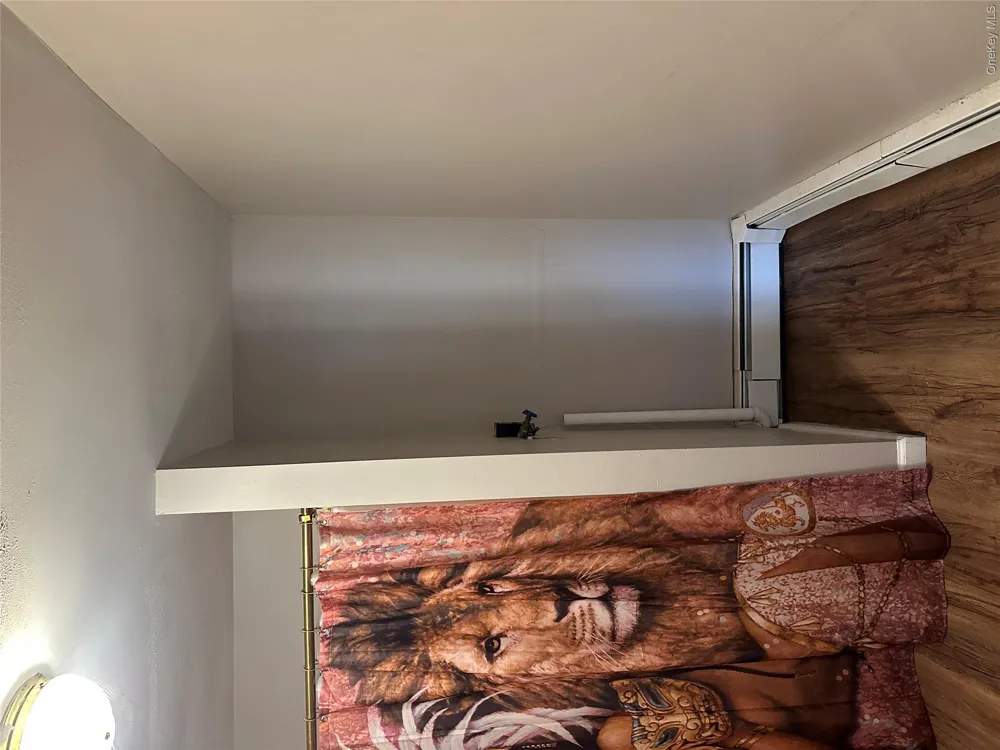 19 & 25 Finch Street Livingston Manor, NY 12758