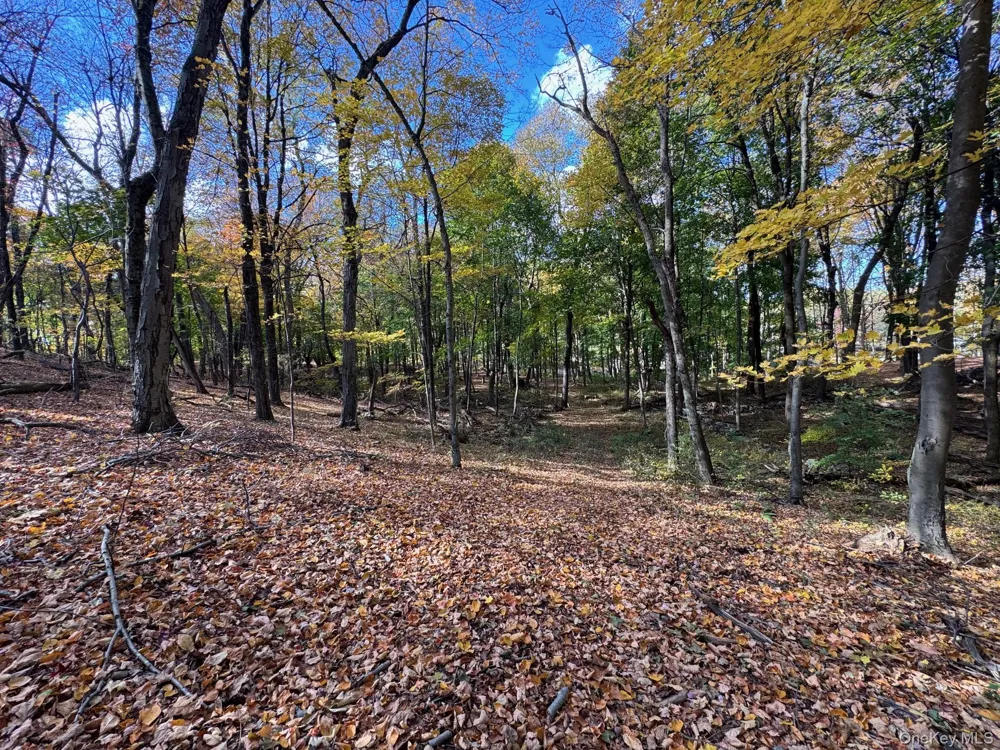 96 Somerstown Road Ossining, NY 10562