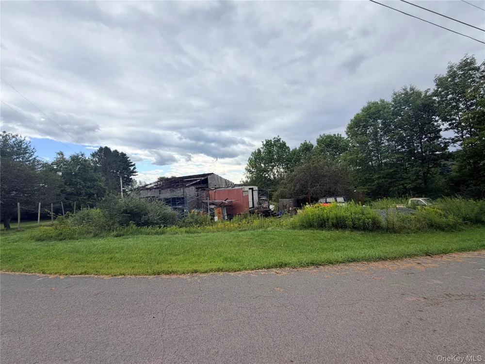 32 Conroy Road Callicoon, NY 12723
