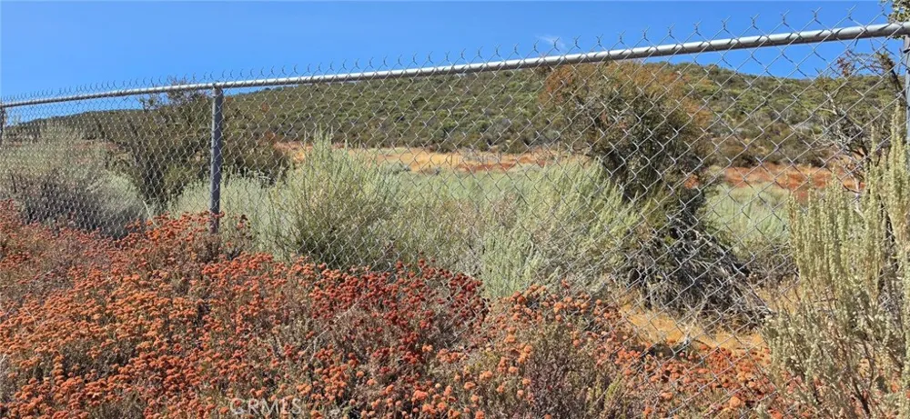 Lost Valley Road Leona Valley, CA 93551