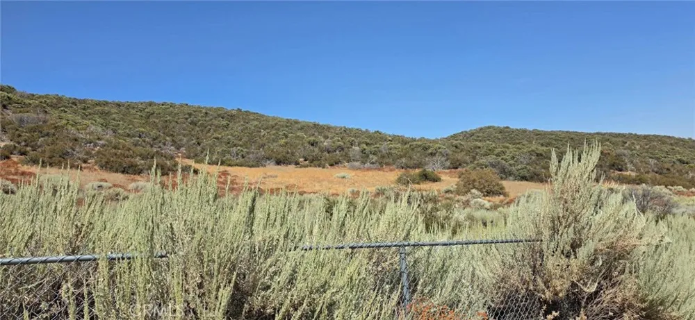 Lost Valley Road Leona Valley, CA 93551