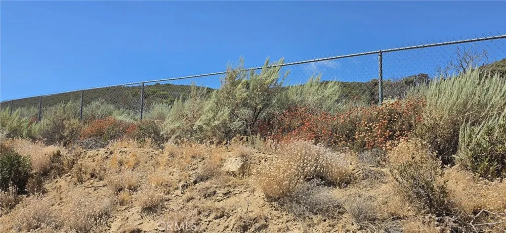 Lost Valley Road Leona Valley, CA 93551