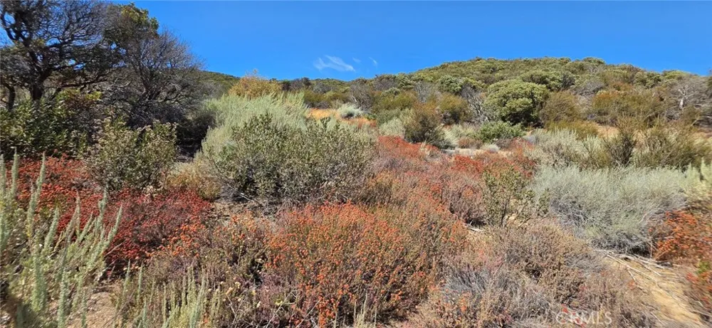 Lost Valley Road Leona Valley, CA 93551