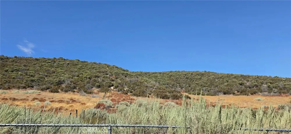 Lost Valley Road Leona Valley, CA 93551