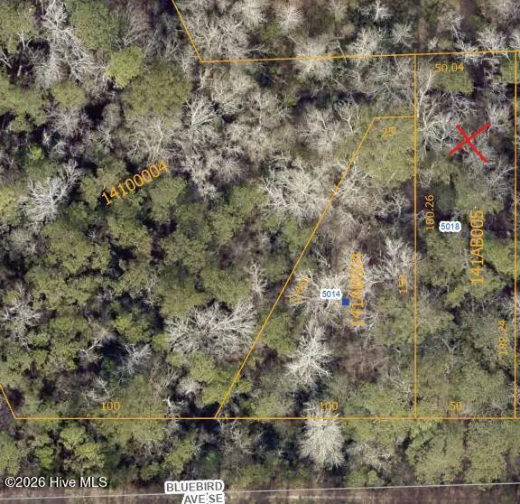 5018 Bluebird Lane SE Boiling Spring Lakes, NC 28461