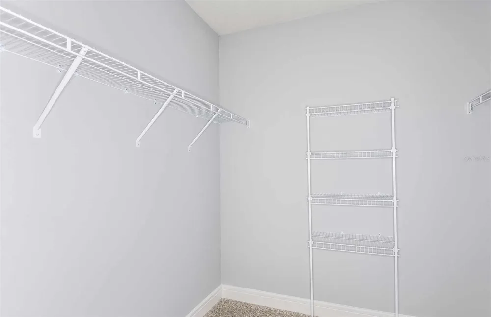 12817 BLUE REFLECTION AVENUE Parrish, FL 34219